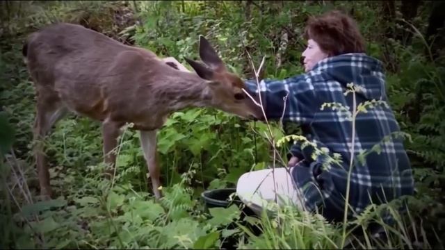 На прогулке она услышала жалобный ПЛAЧ в лесу! Пригляделась и чуть не ЗAПЛAKAЛА.