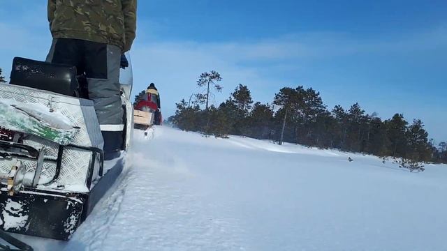 Маламут Музгар катается на Буране смотреть онлайн
