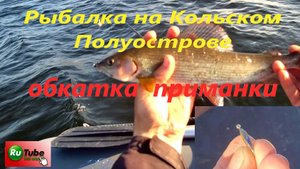 Рыбалка на Кольском Полуострове. Ловля хариуса на Имандре.