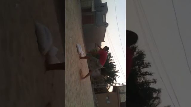 Top ariel cartwheel العجلة الهوائية نسر العزيمة