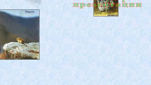 Презентация Млекопитающие