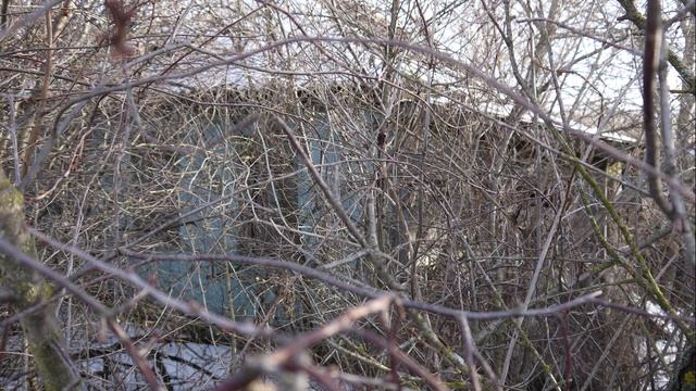 Козыри,Вы мои Козыри! смотреть онлайн