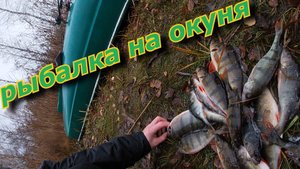 Рыбалка на окуня осенью.