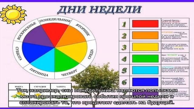 Сны и сновидения по дням недели: значение и исполняемость