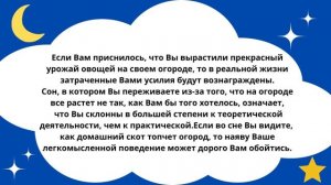 Приснился Огород?Что это значит!Толкование сна!