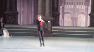 Иван Васильев вариация 3 акт "Дон-Кихот"