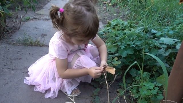 VLOG Лимон кувыркается. Отвезли бабушке тортик. смотреть онлайн