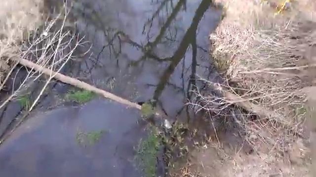 0427, Орловская Область, Орловский район, река Сухая Орлица, посёлок Шиловский, посёлок Биофабрика