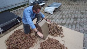 самый быстрый способ переработки кедровой шишки! только орешки летят!!!