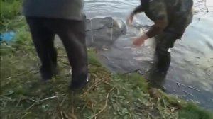 непредсказуемая рыбалка