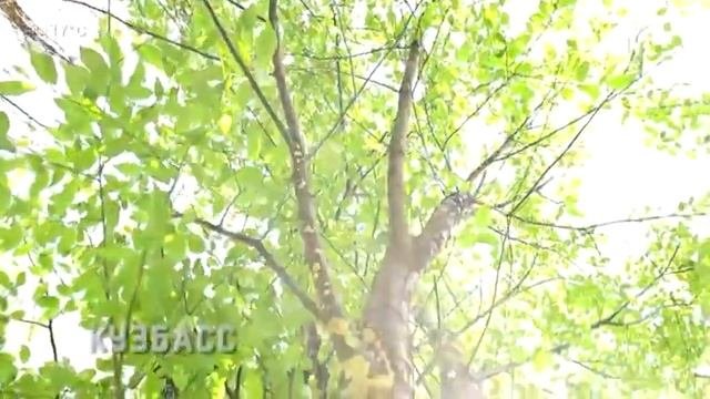 Исчезновение часов и температуры 10 канал Новокузнецк (12.08.2022)