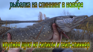 Крупная щука на силиконовые приманки и тейл-спиннеры! Рыбалка на спиннинг в ноябре, на пруду!