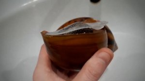 КАК ВЫВЕСТИ УЛИТКУ ИЗ СПЯЧКИ.