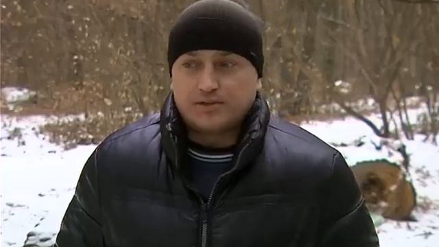 По Ялівщині гуляє лось