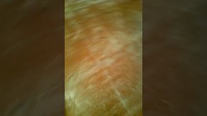 Подготовка старого деревянного пола под ламинат очень важно