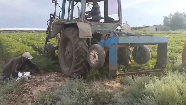 АБАКО F1 УБОРКА МОРКОВИ УРОДИ смотреть онлайн
