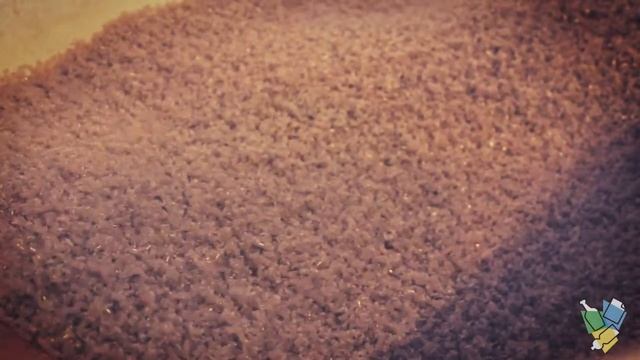 Переработка ПЭНП (4) смотреть онлайн