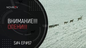 Внимание олени!!! S#04/EP#67