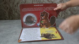 3D-Альбом "Красная книга животных России"