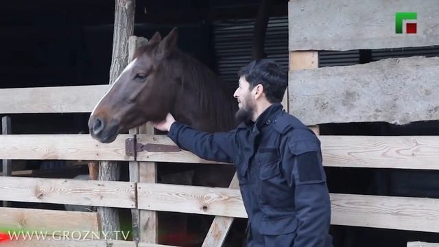 Своя ферма.Развития Сельского Хозяйства.ФермерствоРу