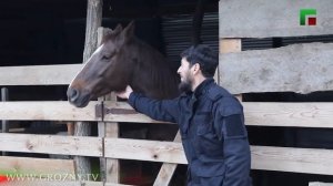 Своя ферма.Развития Сельского Хозяйства.ФермерствоРу