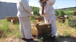 Наше простое матководство и вечная воспиталка. Часть 2.