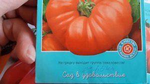 Томаты оригинальной ребристой формы, мясистые, сладкие. Обзор.