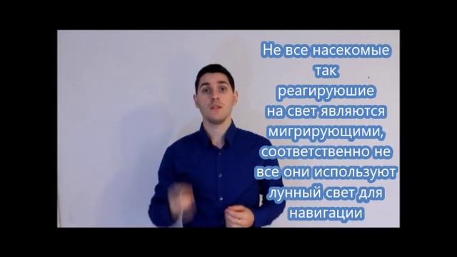 Все обо всем - Почему насекомые летят на свет? смотреть онлайн