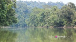 Anaconda 1-Ton in the Amazon