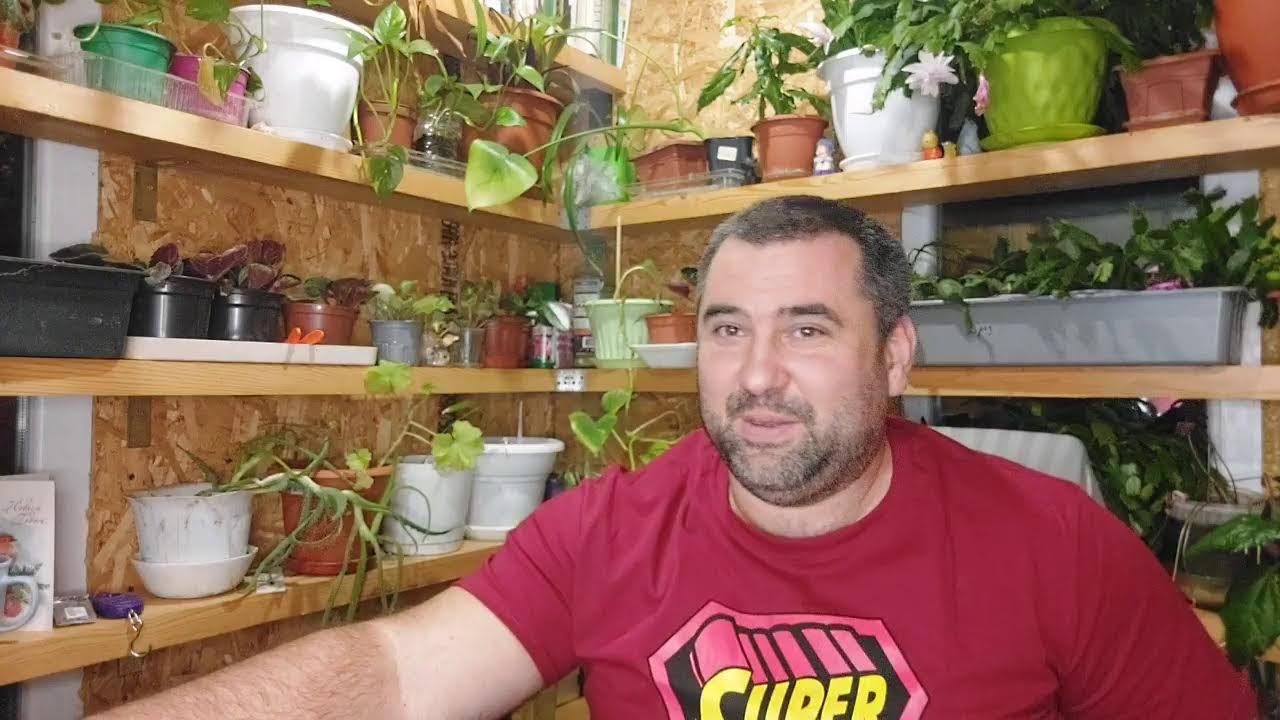 хорошие новости