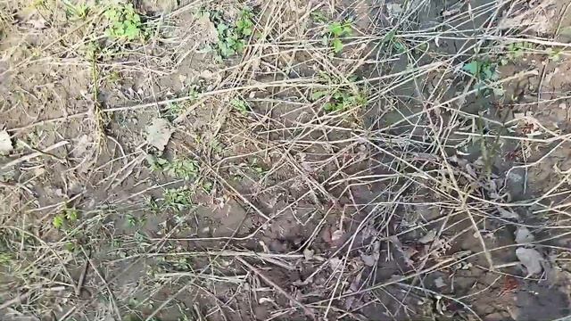 Весенняя рыбалка на реке УРШАК. Булгаково. Сорожка.Голавль. смотреть онлайн