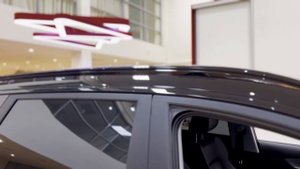 Tiggo 8 pro антихром
