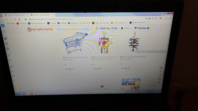 4 лапы. Часть 2.Обзор товаров попугаю. смотреть онлайн