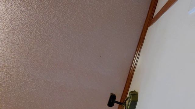 Fade to black sample. Vox Ac-30. смотреть онлайн