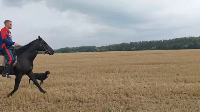 15 сентября 2021 г. смотреть онлайн