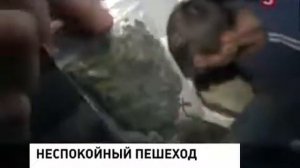 Русские идут домой!