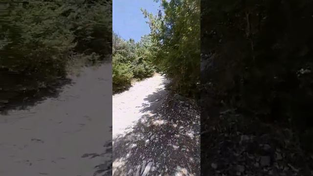 СОСНОВКА ГЕЛЕНДЖИК. Подъем в гору с пляжа СОСНОВКА.