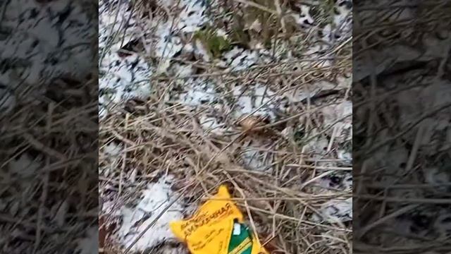 сорняки, пробую выводить аммиачной селитрой смотреть онлайн