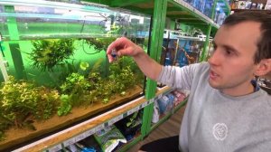 Подключаю систему СО2 в 500 литровый аквариум своими руками. Установка, обзор, дропчекер