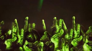 Cat disappears under Priest’s Robe