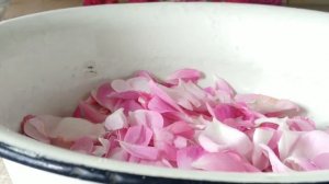 Лепестки чайной розы, протёртые с сахаром. Варенье без варки!