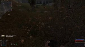Stalker "Золотой шар или приключения Жекана завершение" квест "Жертвоприношение"