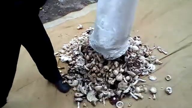 Вот так надо собирать грибы смотреть онлайн