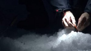 Рыбалка на Камчатке. Подлёдная рыбалка возле Петропавловска-Камчатского.
