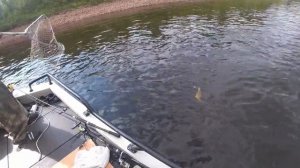 Поход по рекам Якутии часть 2. Встреча с С.С. Митягиным. Ленки, Таймени. Полет на Вертолете. Пороги