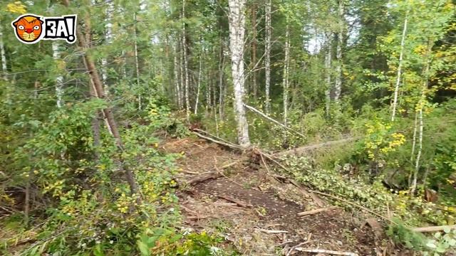 ЗА! Бьет тревогу: старые законсервированные шахты добычи радия и повышение онкозаболеваний. смотреть онлайн