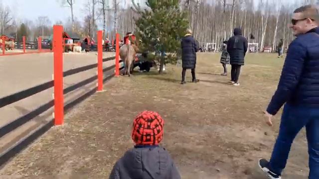 Zoo Rezidence/ Тактильный мини зоопарк. Приглашаем с нами на прогулку. смотреть онлайн