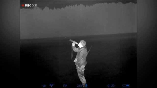 Охота на волка ! Охота на вабу! Hunting the wolf! смотреть онлайн