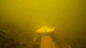 ПЕКТУСИН БОМБА ДЛЯ РЫБАЛКИ? Сиропом прикормили на рыбалке, реакция рыбы и тест,подводная съемка!