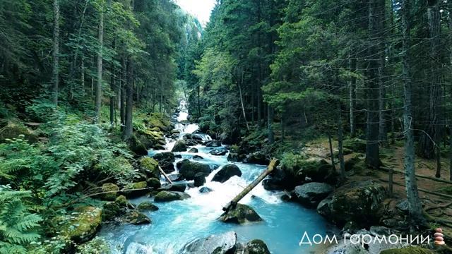 Горная река  ?Течение воды в речке и пение птиц  ?  Звуки природы.